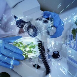 Why the food-tech industry offers extremely appealing investment opportunities centred on the concept of “high-tech food”