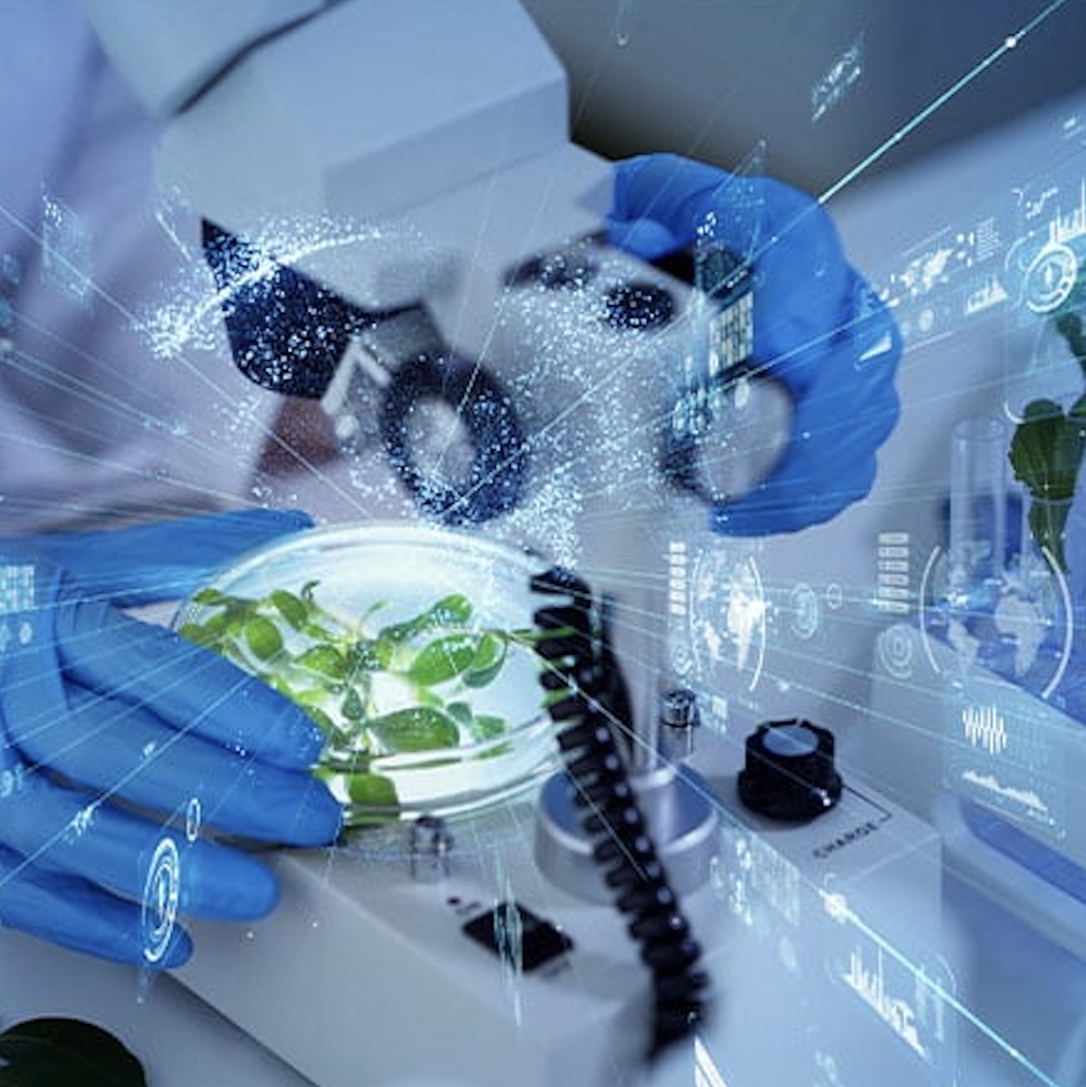 Why the food-tech industry offers extremely appealing investment opportunities centred on the concept of “high-tech food”