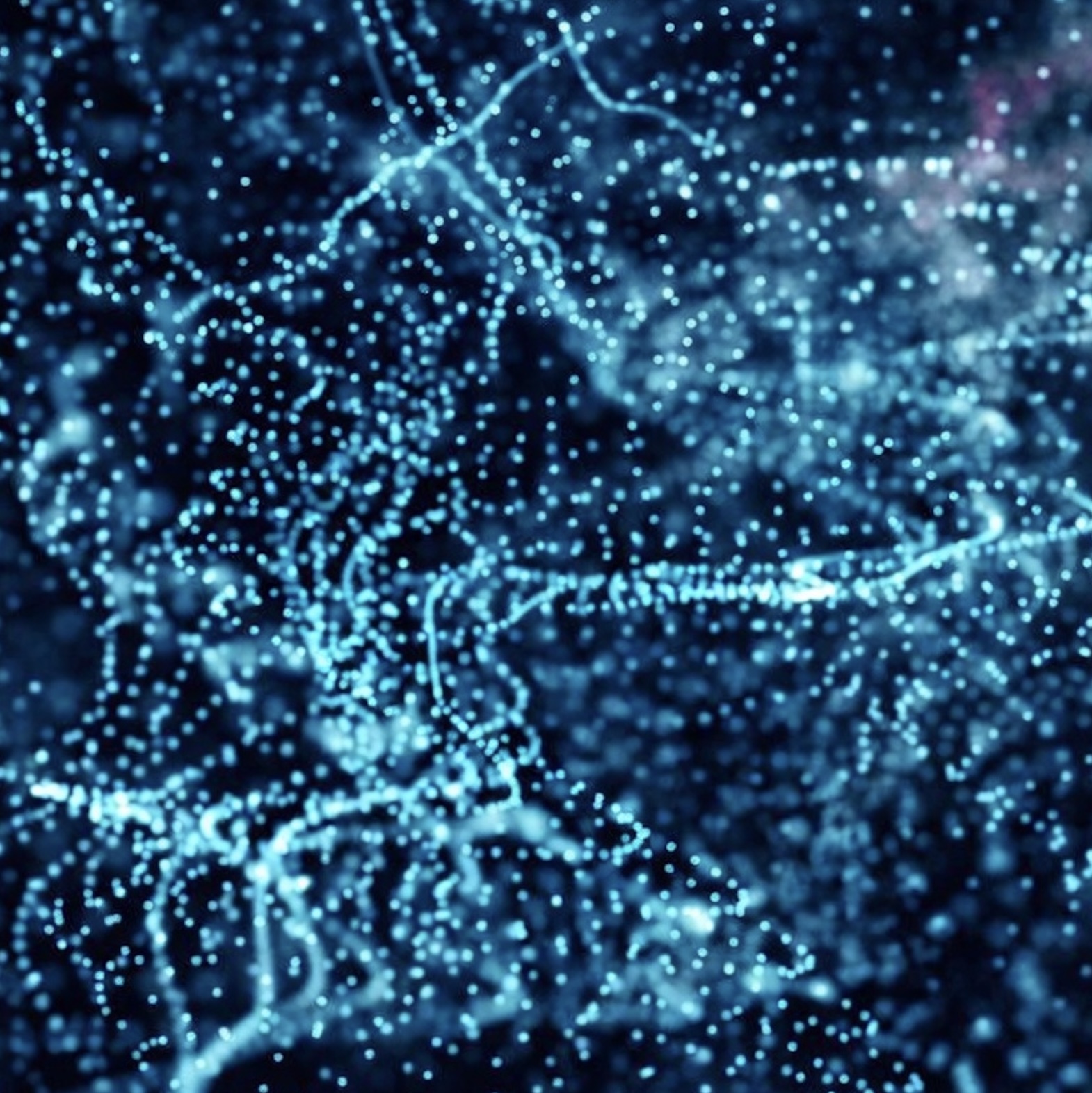 Crypto Cycle Index: Strong start thanks to innovative allocation strategy and market phase weighting