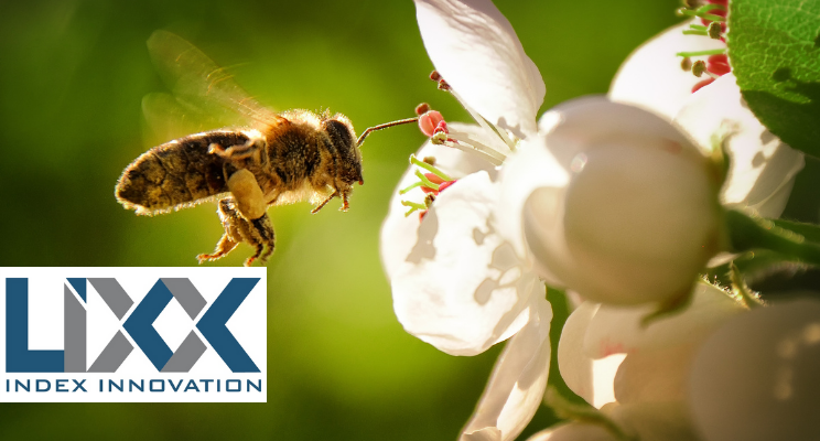 Durch Investitionen das Überleben der Bienen sichern mit dem BeneFaktorIndex® Biene & Bio